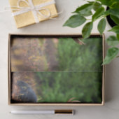 茂瀬 薄葉紙 (ギフト)