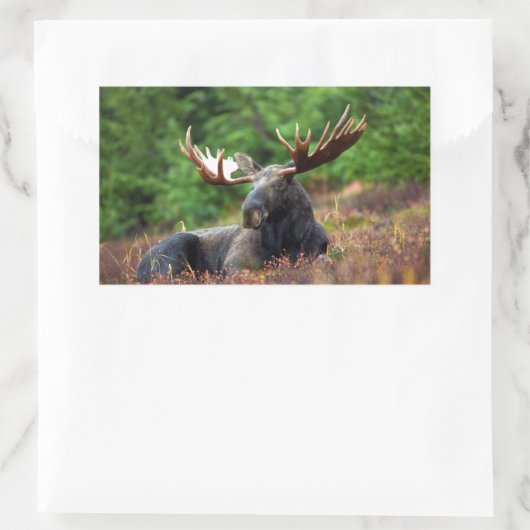 茂瀬 長方形シール (バッグ)