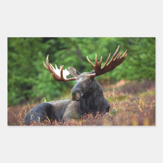 茂瀬 長方形シール (正面)