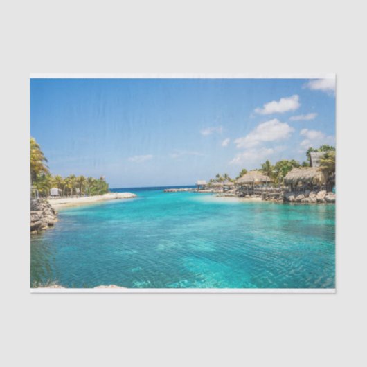 茅葺き小屋の写真と風光明媚な熱帯ビーチ 薄葉紙 (正面)