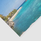 茅葺き小屋の写真と風光明媚な熱帯ビーチ 薄葉紙 (詳細)