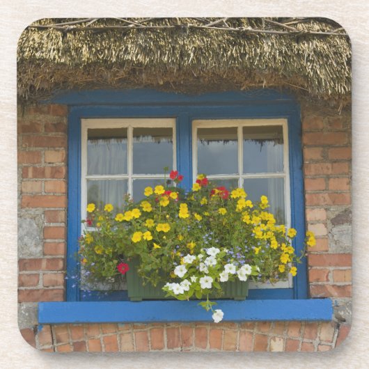 茅葺き小屋、アダレ郡リメリック コースター (正面)