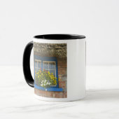 茅葺き小屋、アダレ郡リメリック マグカップ (正面左)