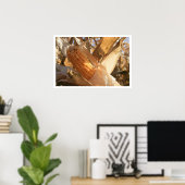 茎にトウモロコシの穂 ポスター (ホームオフィス)