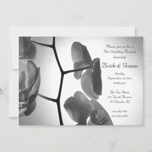 茎に咲く蘭の結婚後ブライダルブランチ招待状 招待状 (正面)