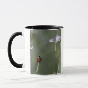 茎のてんとう虫 マグカップ