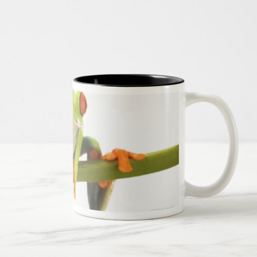 茎のアマガエル ツートーンマグカップ (右)