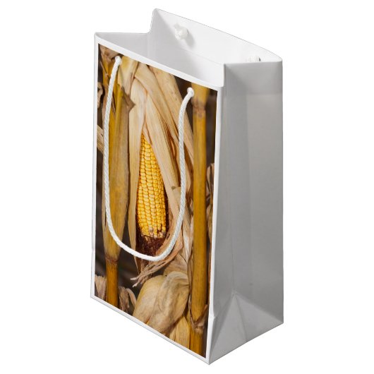 茎のトウモロコシCobb スモールペーパーバッグ (正面アングル)