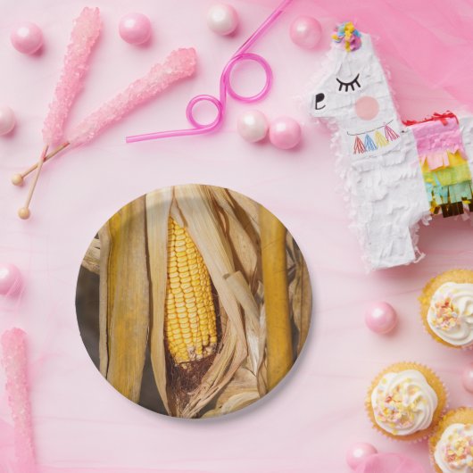 茎のトウモロコシCobb ペーパープレート (パーティー)