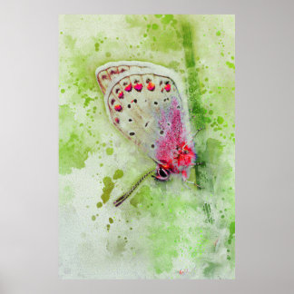 茎の上の美しい白い絵を描蝶 ポスター
