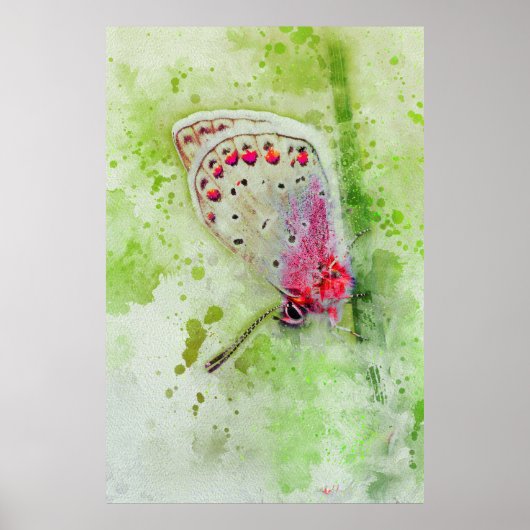 茎の上の美しい白い絵を描蝶 ポスター (正面)