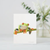 茎上の樹上蛙 ポストカード (スタンド正面)