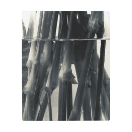 茎 メタルプリント