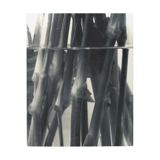 茎 メタルプリント