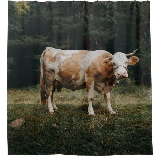 茶と白の鎖牛 シャワーカーテン (正面)