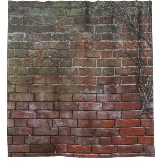 茶と黒の木の板 シャワーカーテン (正面)