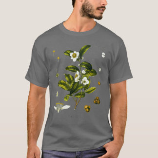 茶の植物の生物学的スケッチCamellia Sinensis Tシャツ