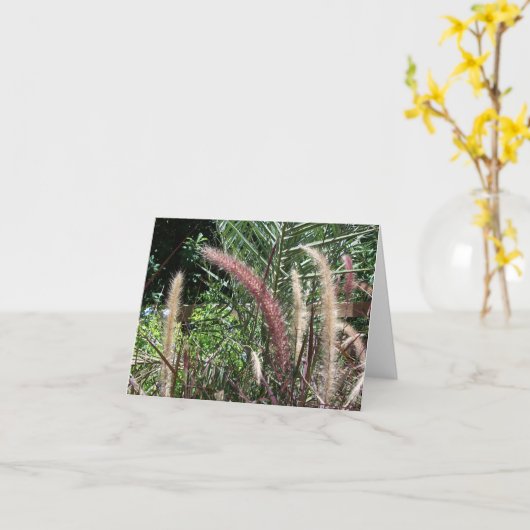 茶の種 カード (黄色い花)