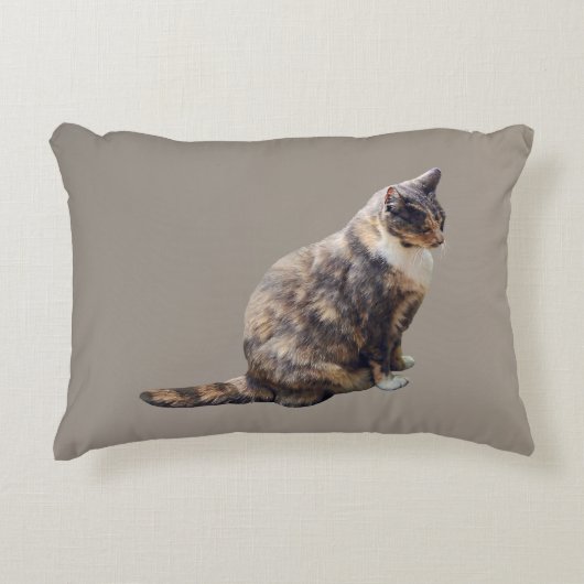 茶の色合いのタビーキャット アクセントクッション (正面)
