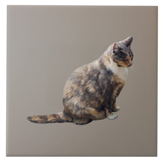 茶の色合いのタビーキャット タイル (正面)