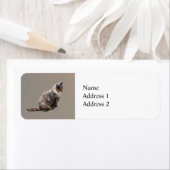 茶の色合いのタビーキャット ラベル (インサイチュ)