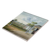 茶を分類します(w/c紙で) タイル (側面)