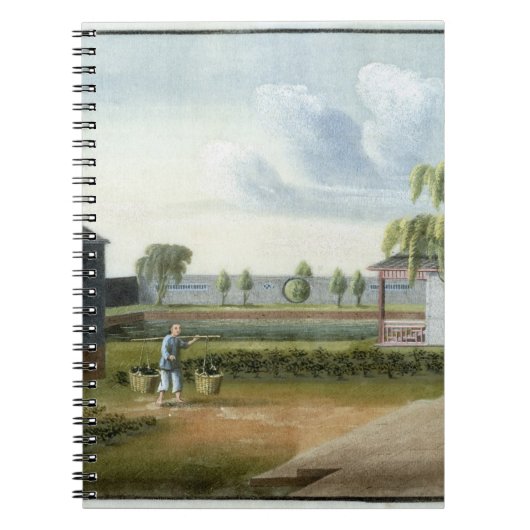 茶を分類します(w/c紙で) ノートブック (正面)