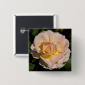 茶バラ 缶バッジ (正面&裏面)