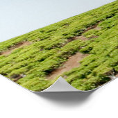 茶独身のの植樹 ポスター (角)