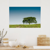 茶独身のの植樹 ポスター (キッチン)