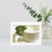 茶王室の ポストカード (スタンド正面)