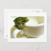 茶王室の ポストカード (正面/裏面)