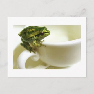 茶王室の ポストカード