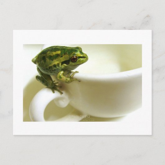 茶王室の ポストカード (正面)