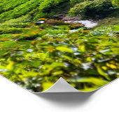 茶畑の通り ポスター (角)