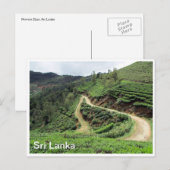 茶畑スリランカ ポストカード (正面/裏面)