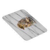 茶色いスズメ マグネット (右側)