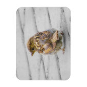 茶色いスズメ マグネット (縦)