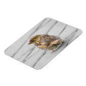 茶色いスズメ マグネット (左側)