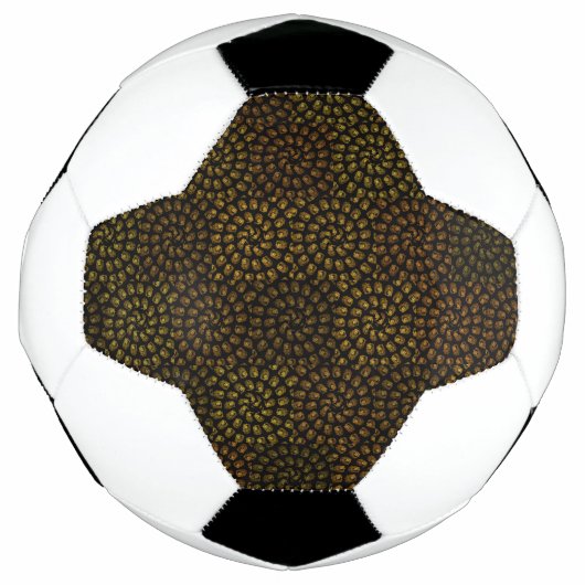 茶色いスパイラルライオンの頭模様、 サッカーボール (正面)