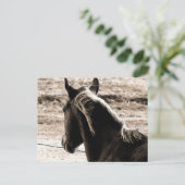 茶色いトーンのスコッチ ポストカード (スタンド正面)