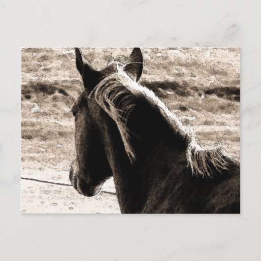 茶色いトーンのスコッチ ポストカード (正面)