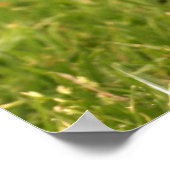 茶色いリスのポスター ポスター (角)