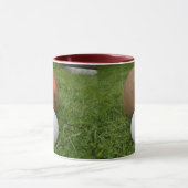 茶色いヴィンテージの芝生鉢とジャック マグカップ (中央)