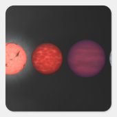 茶色い矮星を比較したアーティストのレンディション スクエアシール (正面)