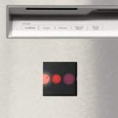 茶色い矮星を比較したアーティストのレンディション マグネット (インサイチュ (食洗機))