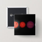 茶色い矮星を比較したアーティストのレンディション 缶バッジ (正面&裏面)