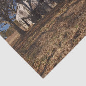 茶色い草の中の老朽化した薄茶色の納屋 薄葉紙 (詳細)