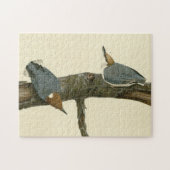 茶色い頭のヌサッチ – オードボンのアメリカの鳥 ジグソーパズル (横)