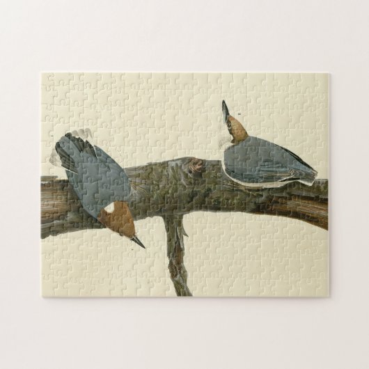 茶色い頭のヌサッチ – オードボンのアメリカの鳥 ジグソーパズル (横)